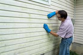 Professional Siding in Waverly, MI